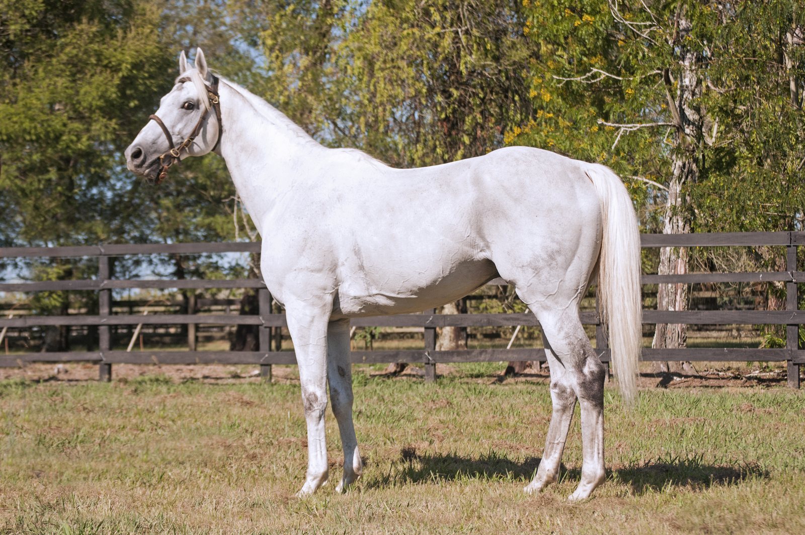 OUTSTRIP